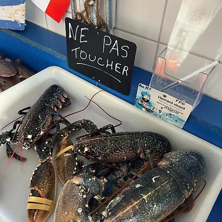 Maison De Pecheur Vue Exceptionnelle Semesterbostad